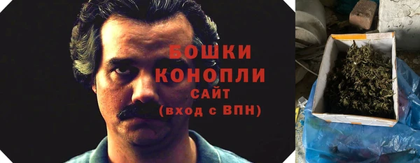 apvp Аркадак