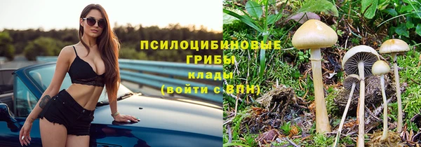 эйфоретик Армянск