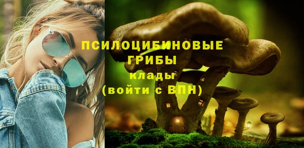 каннабис Арсеньев