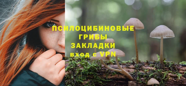 apvp Аркадак